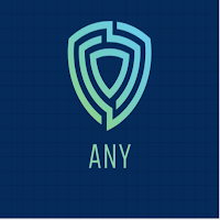 ANY VPN Connection IP Changer APK