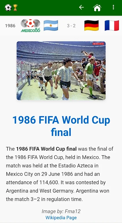 The Foot World Cup Screenshot4