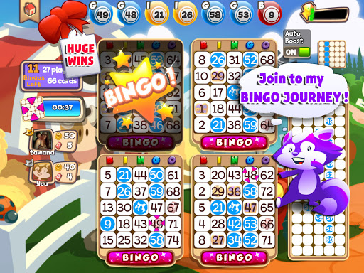 Bingo Raccoon Screenshot3