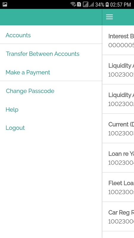 EQI Bank Demo Screenshot1