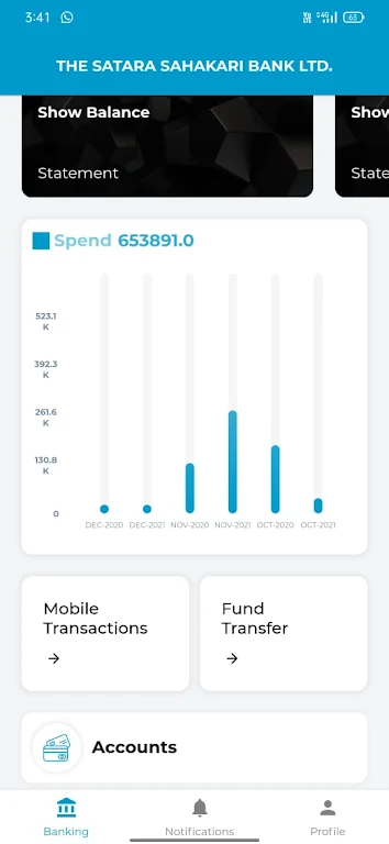 Satara Bank Screenshot4