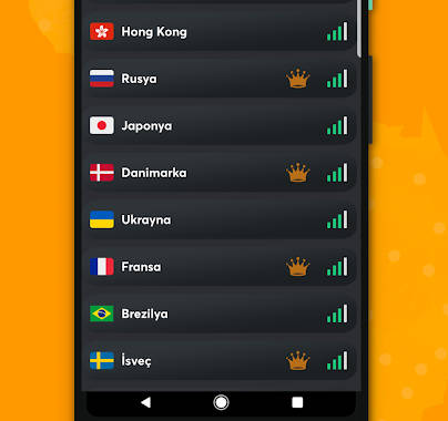 Premium Fast VPN Screenshot3