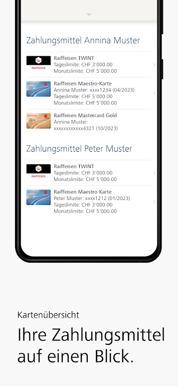 Raiffeisen E-Banking Screenshot4