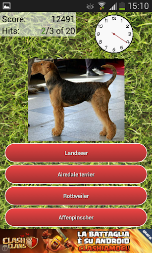 Dog Breeds Quiz Screenshot2