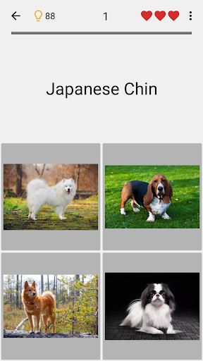 Dogs Quiz - Guess Popular Dog Breeds on the Photos Screenshot1