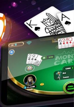 BlackJack 21 Pro Screenshot3