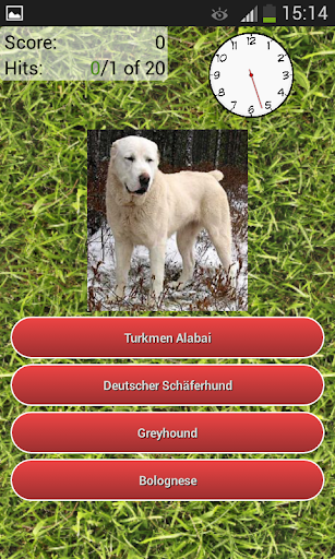 Dog Breeds Quiz Screenshot1