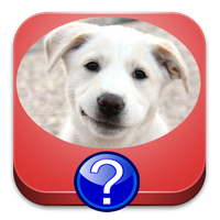 Dog Breeds Quiz APK