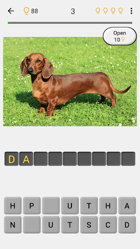 Dogs Quiz - Guess Popular Dog Breeds on the Photos Screenshot3