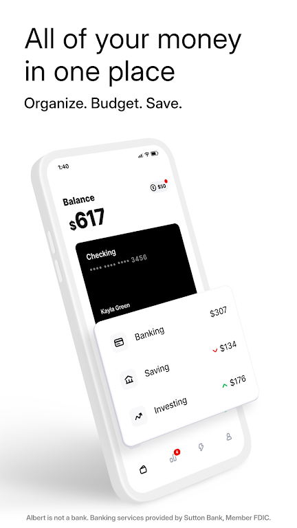 Albert: Budgeting and Banking Screenshot1