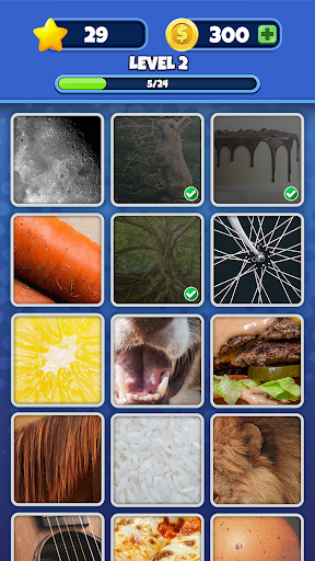 Guess it! Zoom Pic Trivia Game Screenshot3