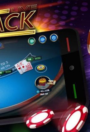 BlackJack 21 Pro Screenshot2