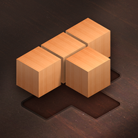 Experience Fill Wooden Block 8x8: Wood Block Puzzle Classic 3.1.3 with ...