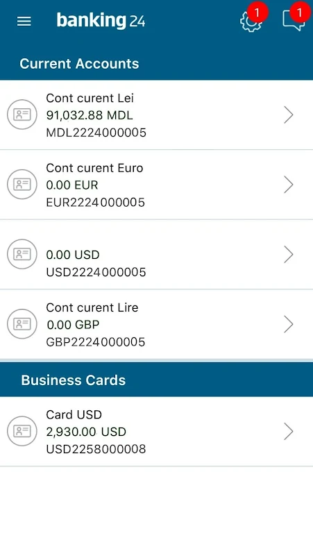 Corporate Mobile 24Banking Screenshot4