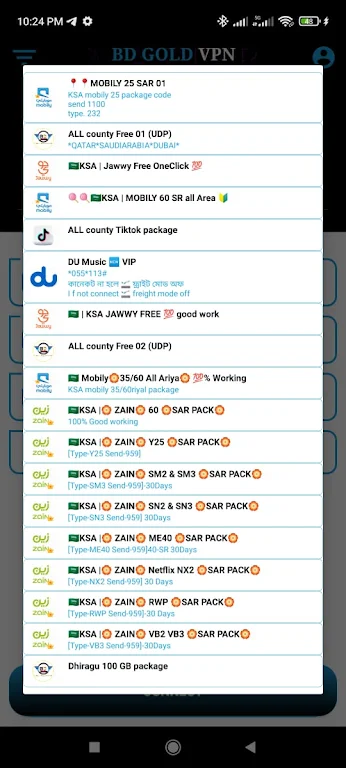 BDGOLD VPN Screenshot3