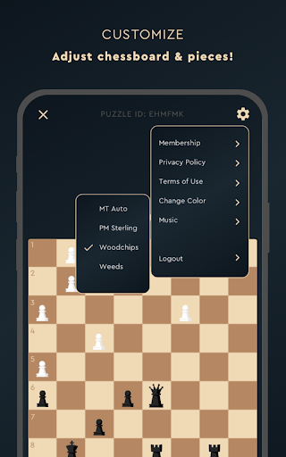 Tactics Frenzy – Chess Puzzles Screenshot1