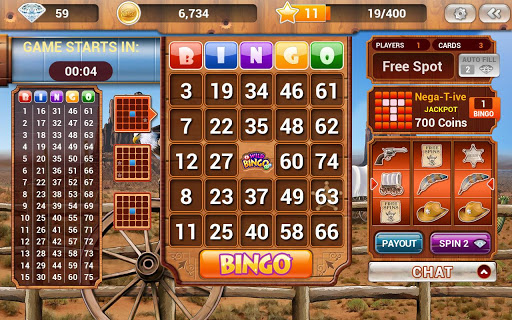 Wild Bingo - FREE Bingo+Slots Screenshot1