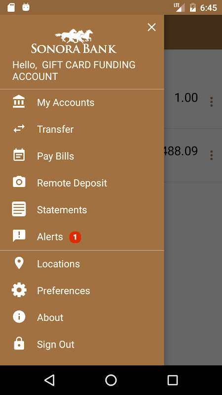 Sonora Bank Mobile Screenshot1