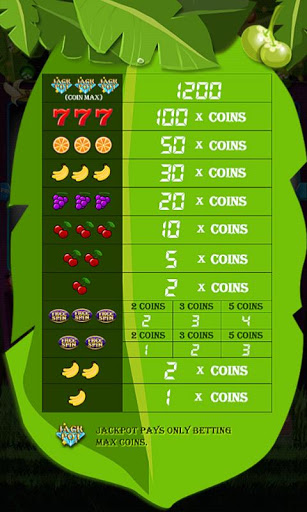 Slot Machines Screenshot4