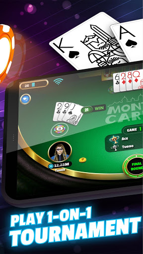 BlackJack 21 Pro Screenshot1