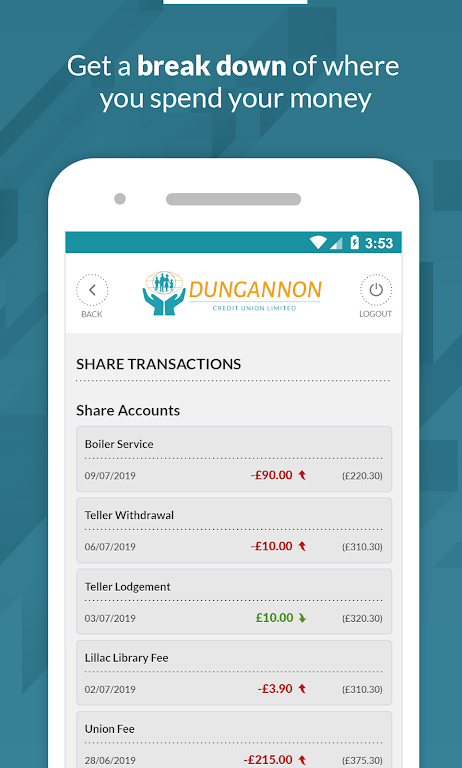 Dungannon Credit Union Screenshot3