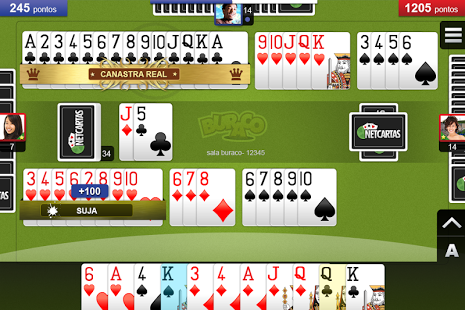 Buraco NetCartas Screenshot3