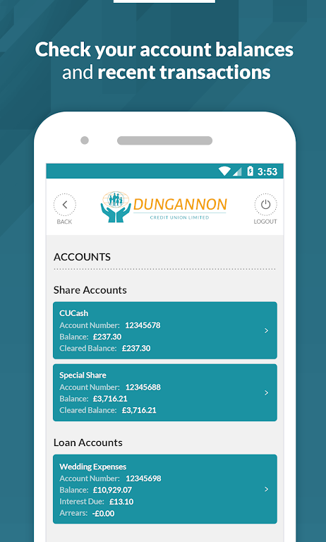 Dungannon Credit Union Screenshot2