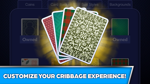 Cribbage - Offline Screenshot2