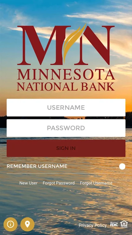 Minnesota National Bank Screenshot1