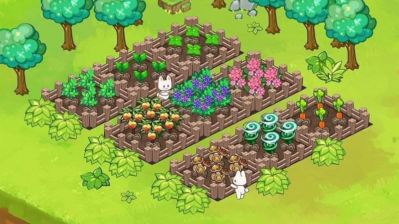 Animal Camp Screenshot4