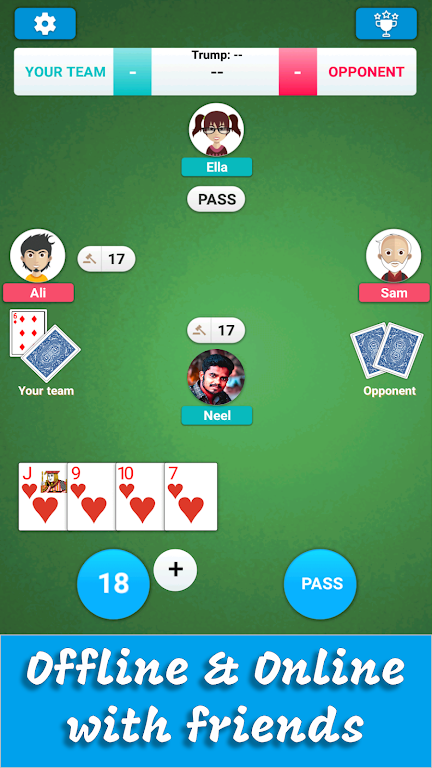 Card Game 29 Screenshot1