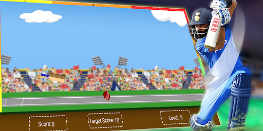 Cricket Online Screenshot2