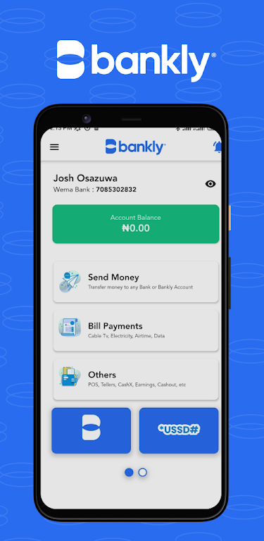 Bankly Agent Screenshot1