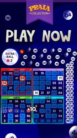 Video Bingo Malibu Screenshot4