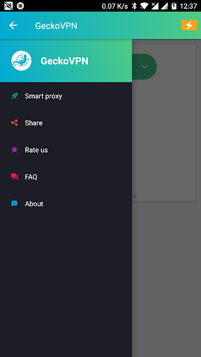 GeckoVPN Free Fast Unlimited Proxy VPN Screenshot2