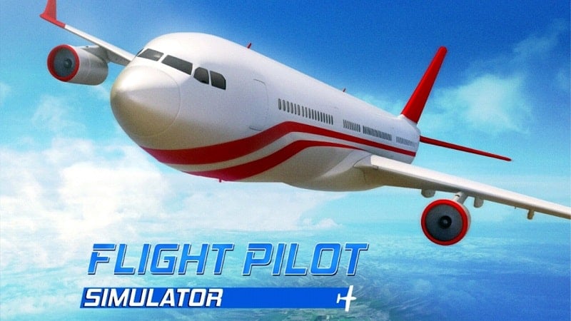 Flight Pilot Simulator 3D Screenshot1