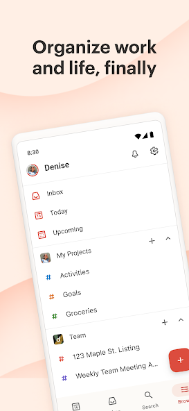 Todoist: to-do list & planner Mod Screenshot1