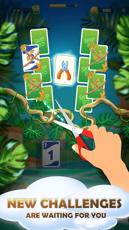 Skip-Bo Screenshot3