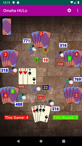 Omaha Hi/Lo Poker Screenshot3