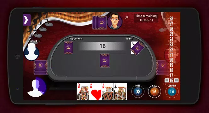 29 Card Screenshot3