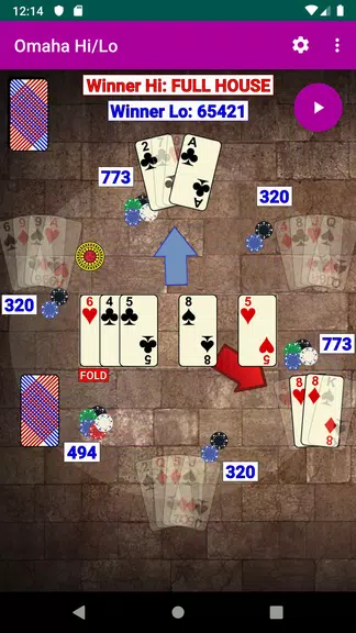 Omaha Hi/Lo Poker Screenshot4