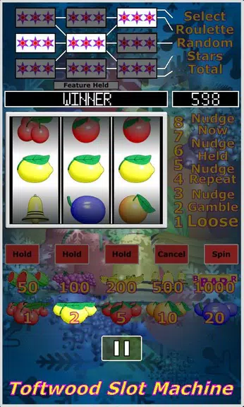 Slot Machine. Casino Slots. Screenshot4