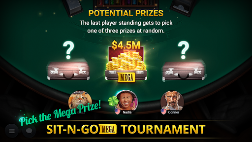 Blackjack Championship Screenshot3