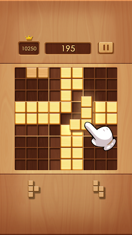 Wood Block Doku Screenshot3