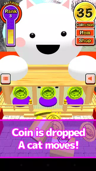 Festival coins (free game) Screenshot1