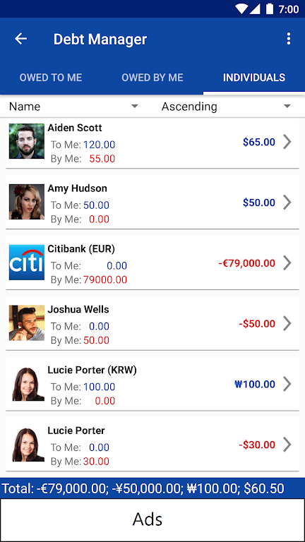 Debt Manager and Tracker Screenshot2