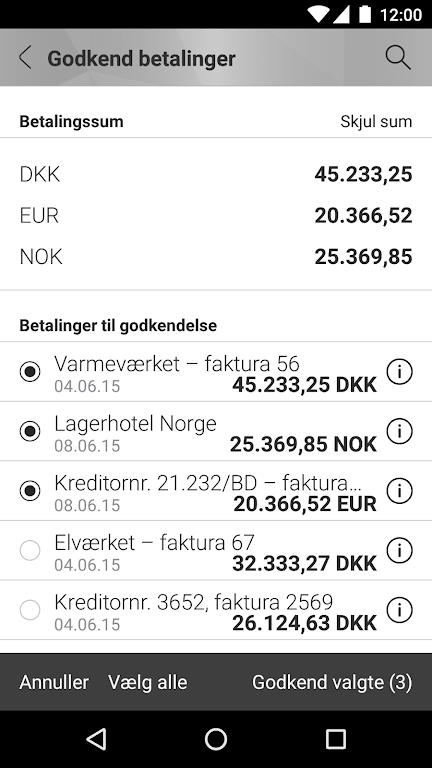 Mobilbank Erhverv Screenshot4