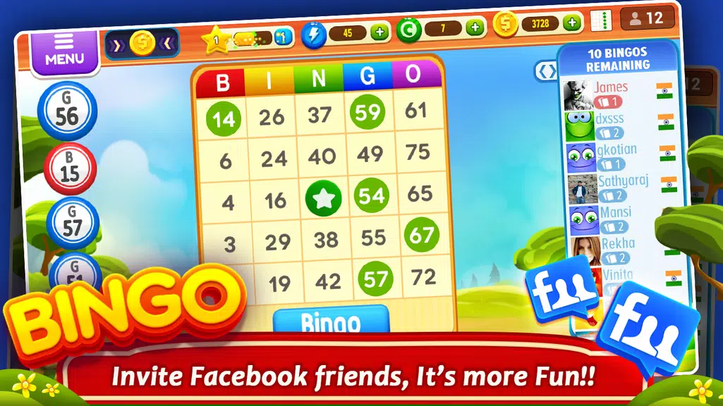 Bingo: Classic HD Bingo Game Screenshot2