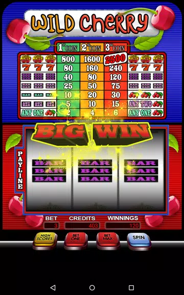 Wild Cherry Slotmachine Free Screenshot3