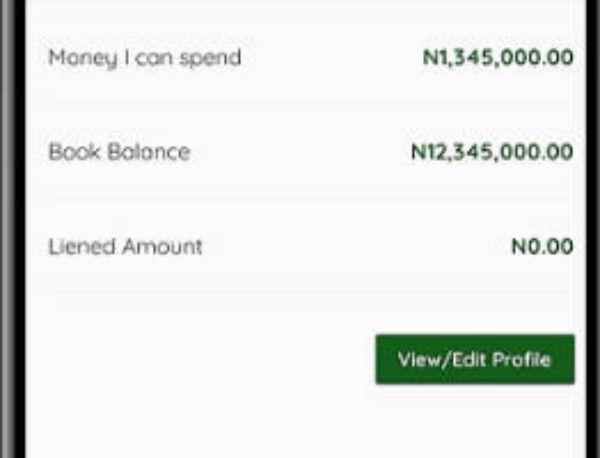 NNPC Depot (IB) Staff CICS Limited. Online Banking Screenshot2